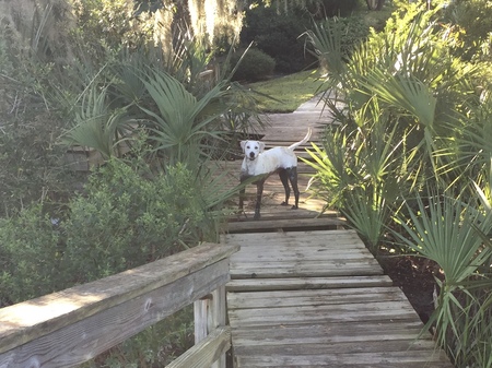 Entry image for Hampton. Clicking this image will show a larger photo