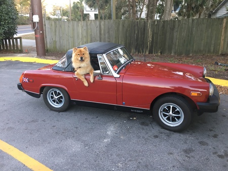 Entry image for Reagan. Clicking this image will show a larger photo