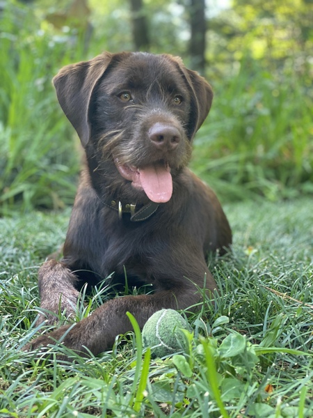 Entry image for Tucker. Clicking this image will show a larger photo