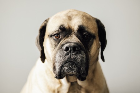 Entry image for Chloe. Clicking this image will show a larger photo