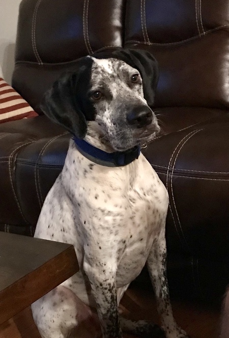 Entry image for Jeter. Clicking this image will show a larger photo