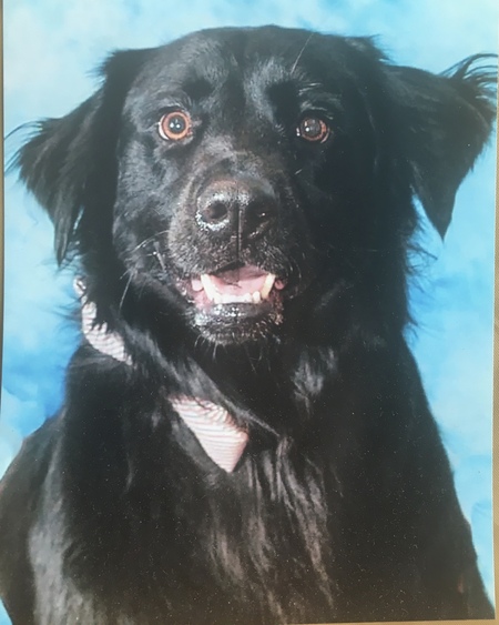 Entry image for Wyatt. Clicking this image will show a larger photo