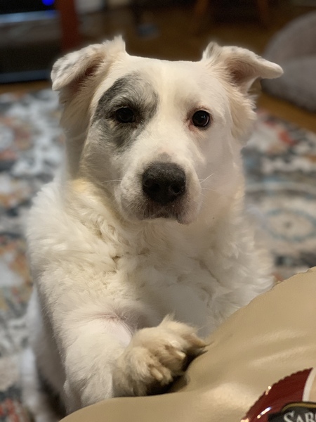 Entry image for Sallie. Clicking this image will show a larger photo