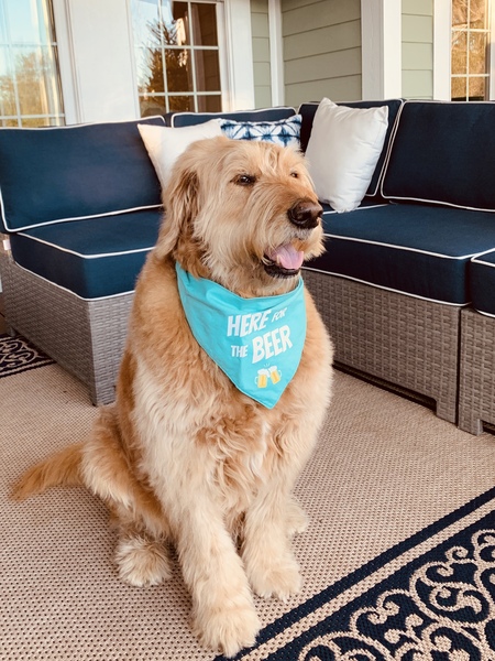 Entry image for Hudson. Clicking this image will show a larger photo