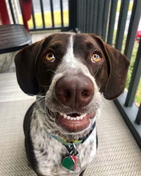 Entry image for Bogard. Clicking this image will show a larger photo