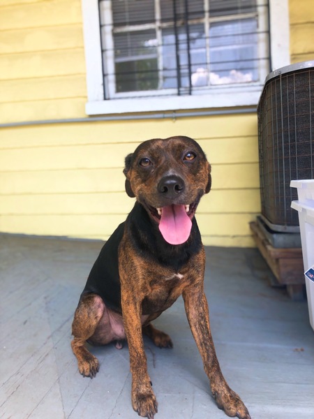 Entry image for (Johnny) Cash. Clicking this image will show a larger photo