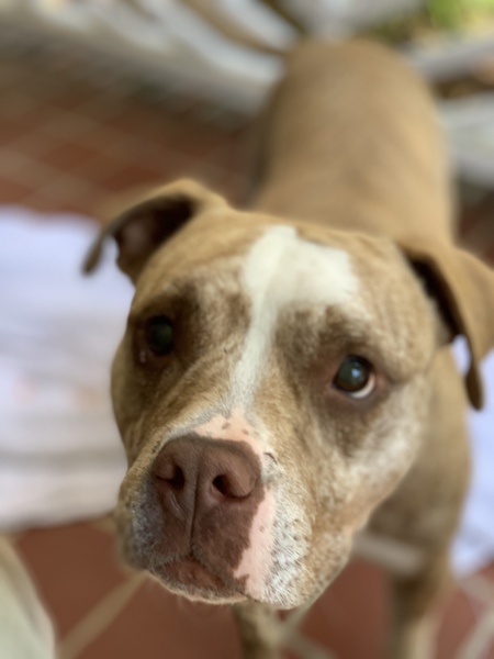 Entry image for Keller. Clicking this image will show a larger photo