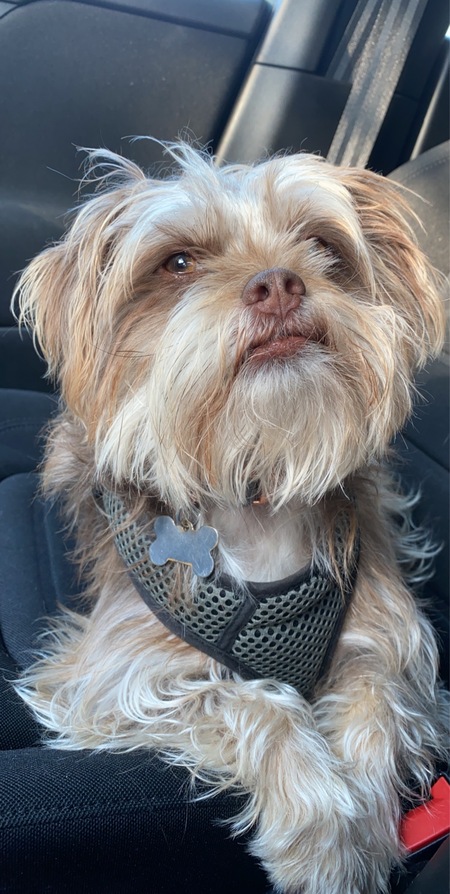 Entry image for Riot. Clicking this image will show a larger photo