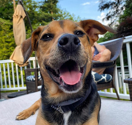 Entry image for Brewski. Clicking this image will show a larger photo