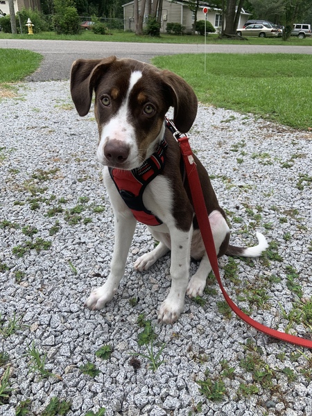 Entry image for Stuart. Clicking this image will show a larger photo