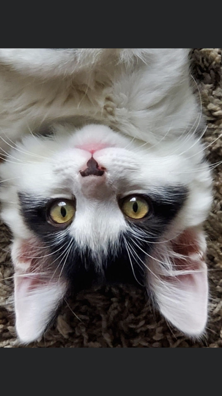 Entry image for Aero. Clicking this image will show a larger photo