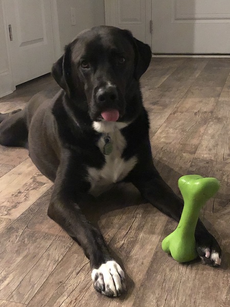 Entry image for Cayman. Clicking this image will show a larger photo