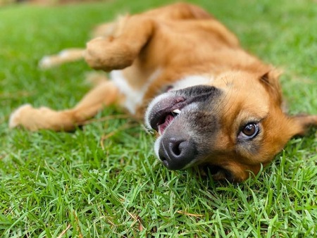 Entry image for Delaney. Clicking this image will show a larger photo