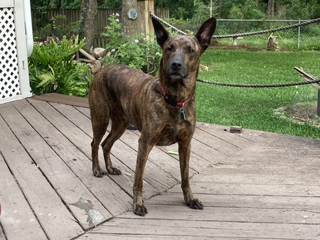 Entry image for Guinness. Clicking this image will show a larger photo