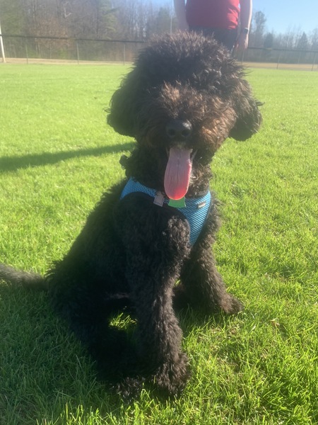 Entry image for Nix . Clicking this image will show a larger photo