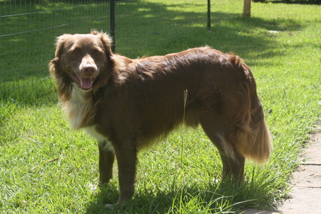 Entry image for Blaze. Clicking this image will show a larger photo