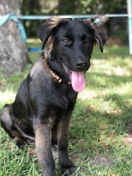 Entry image for Nick. Clicking this image will show a larger photo