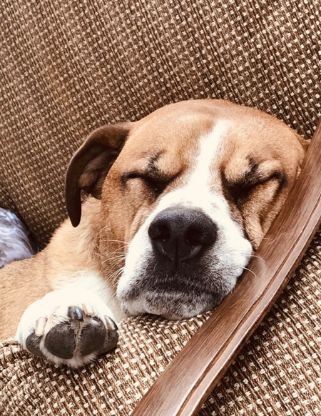 Entry image for Brice. Clicking this image will show a larger photo