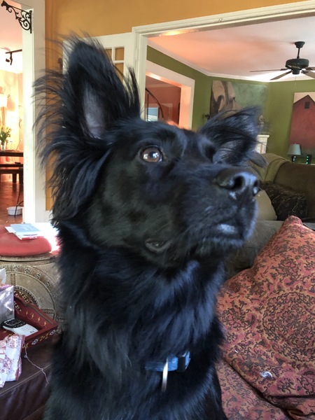 Entry image for Folly. Clicking this image will show a larger photo