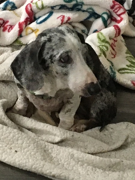 Entry image for Walter. Clicking this image will show a larger photo