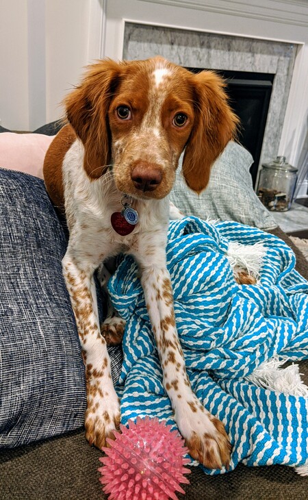 Entry image for Neville Kohl. Clicking this image will show a larger photo