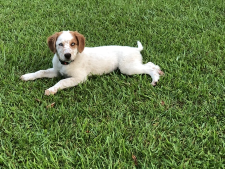 Entry image for Jersey. Clicking this image will show a larger photo