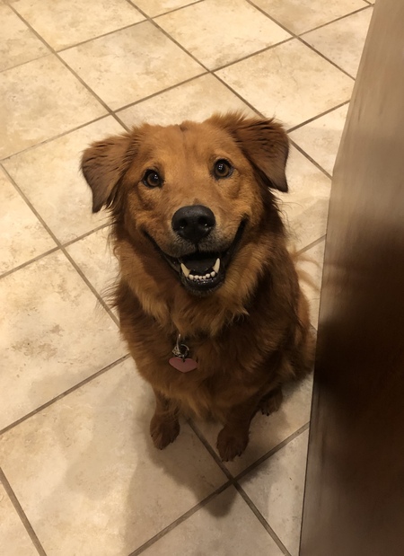 Entry image for Fanci Pants . Clicking this image will show a larger photo