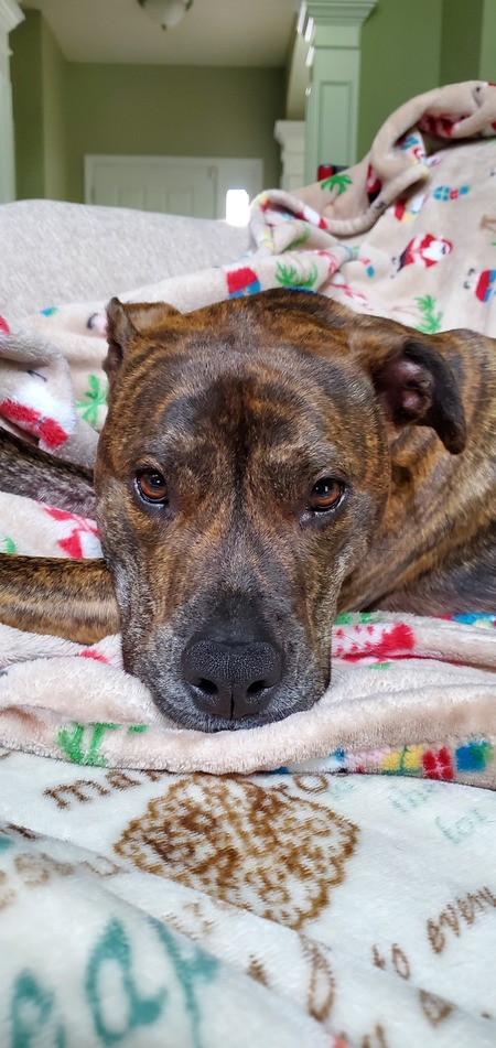 Entry image for Cole . Clicking this image will show a larger photo