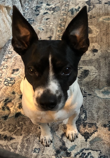 Entry image for Pete. Clicking this image will show a larger photo