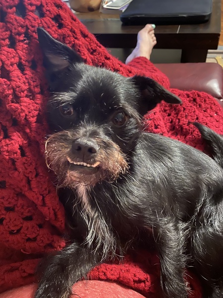 Entry image for Rio. Clicking this image will show a larger photo