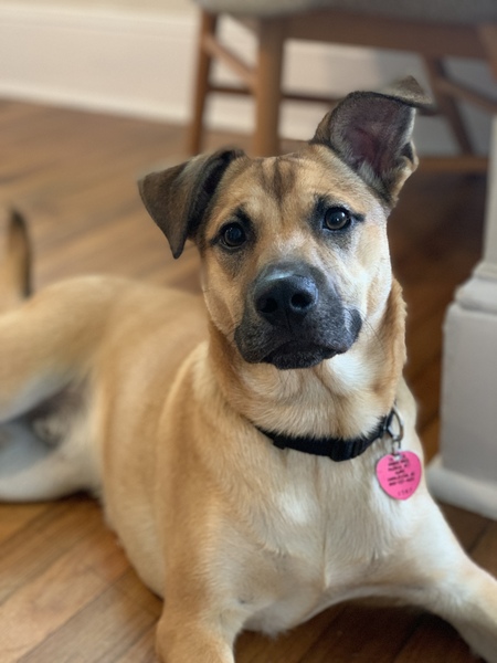 Entry image for Frank. Clicking this image will show a larger photo