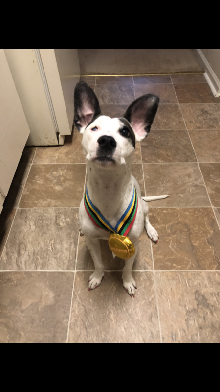 Entry image for Casca. Clicking this image will show a larger photo