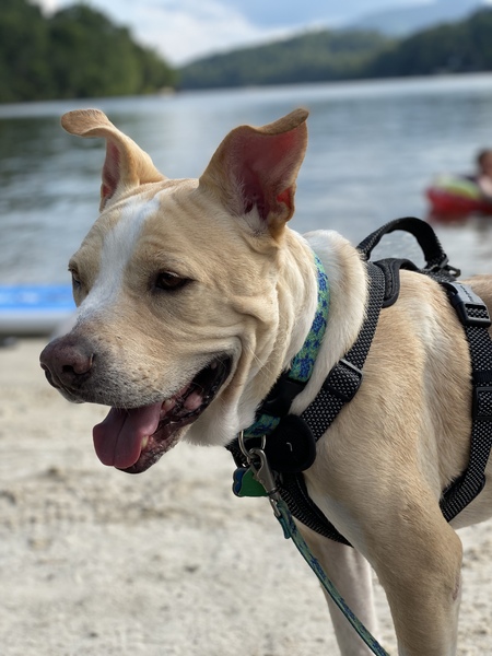 Entry image for Sherman Lee Gregory . Clicking this image will show a larger photo