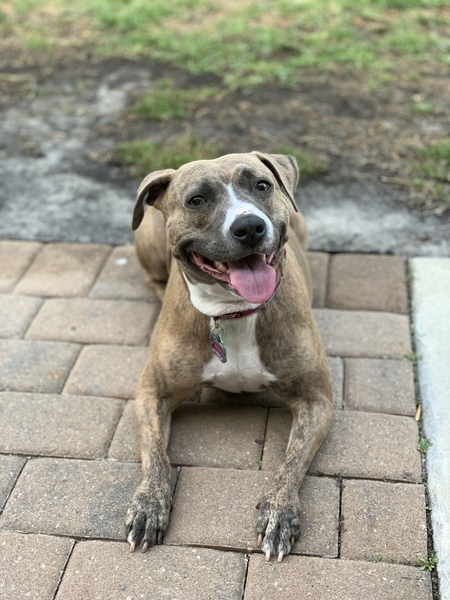 Entry image for Emma. Clicking this image will show a larger photo