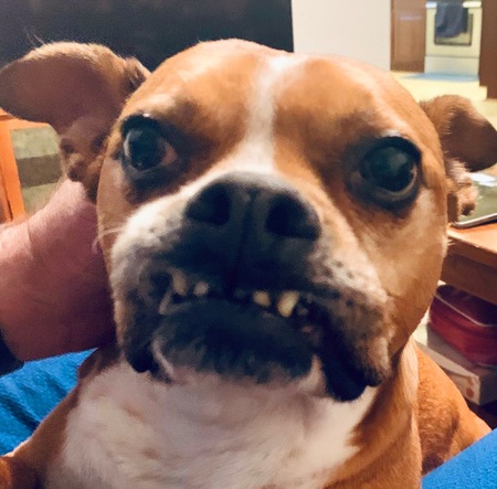 Entry image for Jinger. Clicking this image will show a larger photo