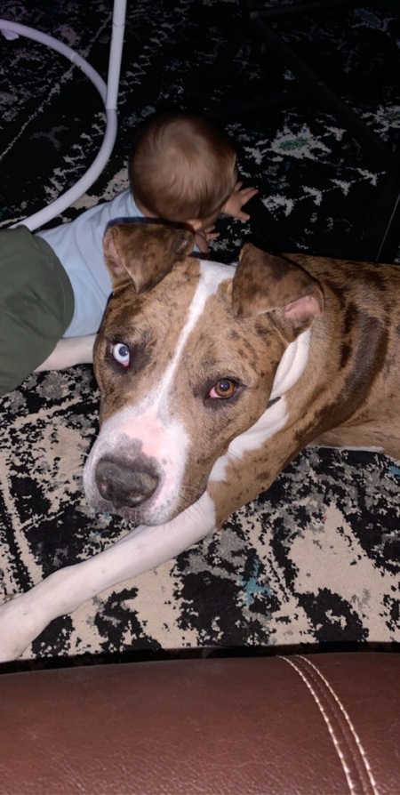 Entry image for Jax. Clicking this image will show a larger photo