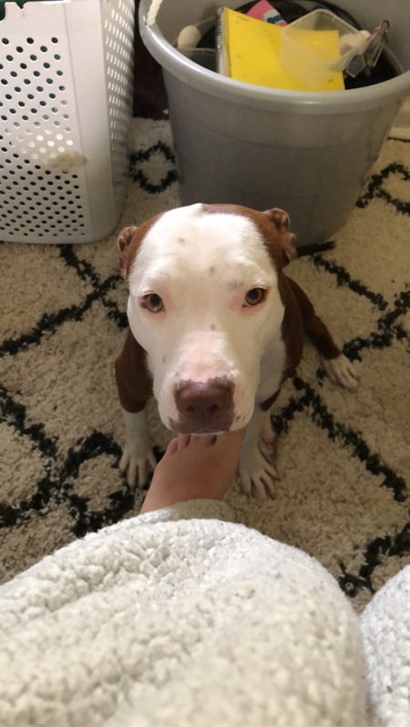 Entry image for Havana. Clicking this image will show a larger photo