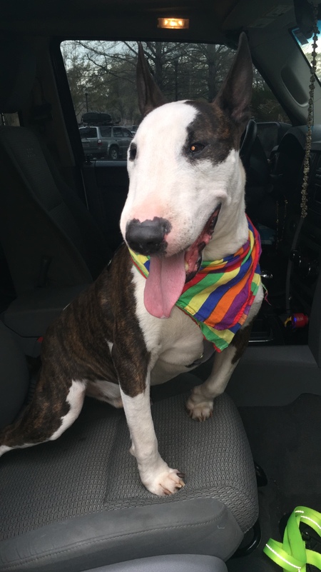 Entry image for Doce (pronounced dough-say). Clicking this image will show a larger photo