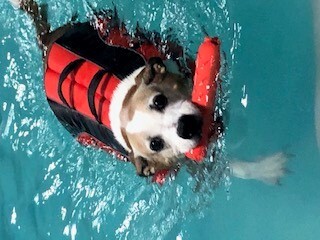 Entry image for Frazier. Clicking this image will show a larger photo