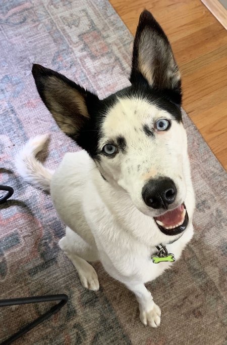 Entry image for Irie. Clicking this image will show a larger photo