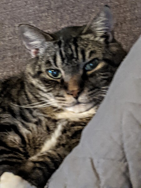 Entry image for Jack. Clicking this image will show a larger photo