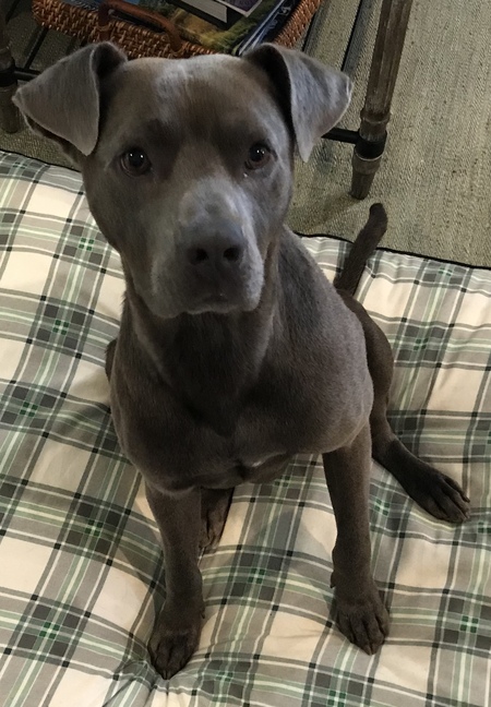 Entry image for BREW . Clicking this image will show a larger photo