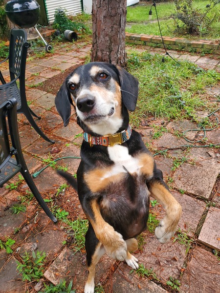 Entry image for Luke Thompson. Clicking this image will show a larger photo