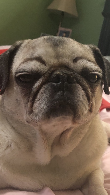 Entry image for Sunny Girl. Clicking this image will show a larger photo