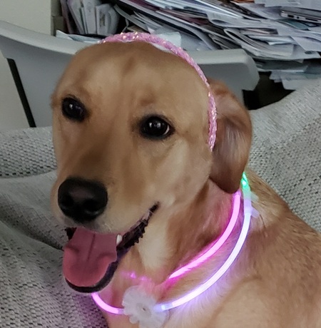 Entry image for Cassie. Clicking this image will show a larger photo