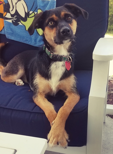 Entry image for Vespa. Clicking this image will show a larger photo