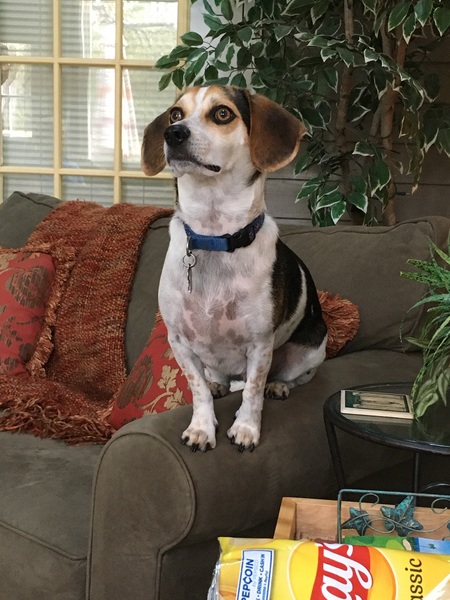 Entry image for Jack bennett. Clicking this image will show a larger photo