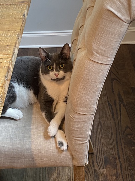 Entry image for Max. Clicking this image will show a larger photo