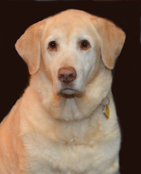 Entry image for Folly Girl. Clicking this image will show a larger photo