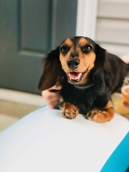 Entry image for Margot. Clicking this image will show a larger photo